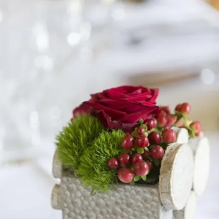 Saint-martin Hotel Bovigny