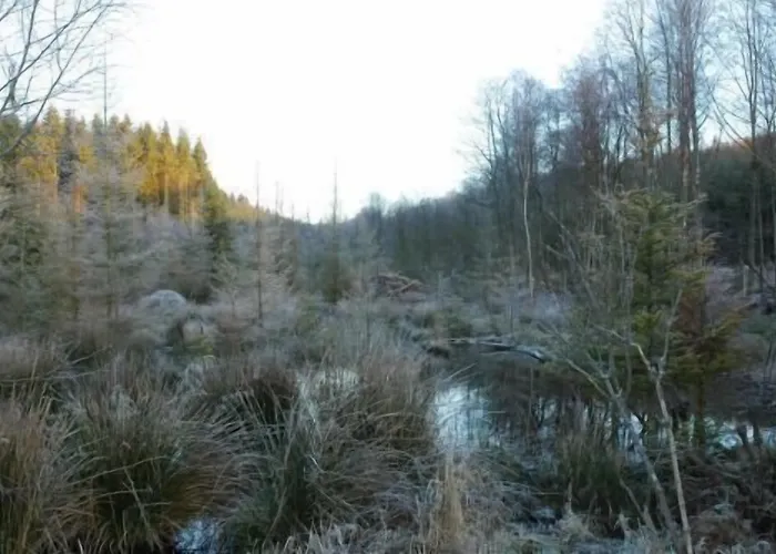 Hotel Saint-martin Bovigny